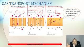 Gas Separation in Membrane [upl. by Aleece]