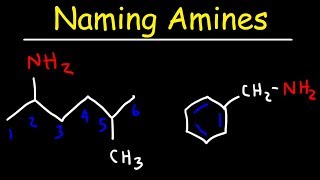 Naming Amines  IUPAC Nomenclature amp Common Names [upl. by Dnalkrik917]