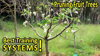 PRUNING FRUIT TREES  BEST SHAPES for SIZE and PRODUCTION [upl. by Fonseca781]