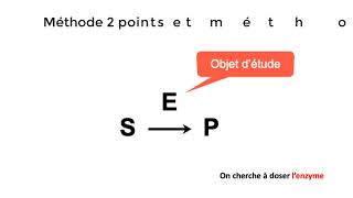 Dosage des enzymes  méthodes en 2 points et méthode cinétique [upl. by Ammadis]