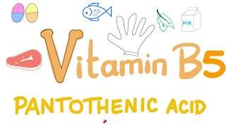 Vitamin B5 Pantothenic Acid 🥬🍗🍳 [upl. by Rehpoitsirhc]