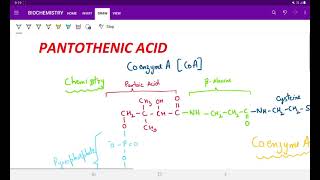 COENZYME A PANTOTHENIC ACID [upl. by Ethban28]