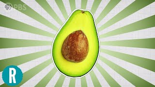 The Science of Avocados [upl. by Rebah]