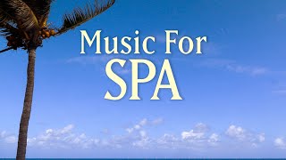 8 HOURS SPA MUSIC PLAYLIST  Healing Arts Massage amp Meditation  with Earth Resonance Frequency [upl. by Ahtelrac]