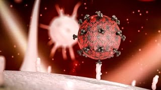 A potential cure for HIV [upl. by Fagen548]