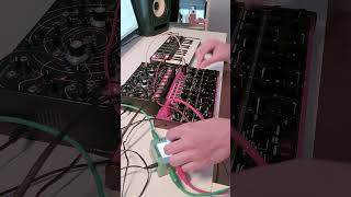 Behringer Edge  first techno jam [upl. by Gerick]