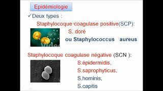 Antibiotic Resistance Antibiotics  Lecture 9 [upl. by Bouley]