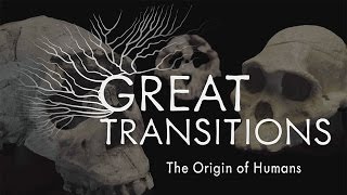 Great Transitions The Origin of Humans — HHMI BioInteractive Video [upl. by Nonnelg]