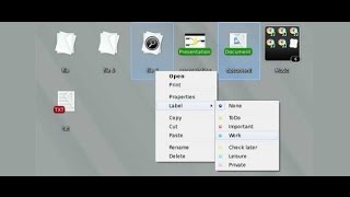 Nimi Places  Desktop Organizing Software Video Tutorial Part 1 [upl. by Icats]