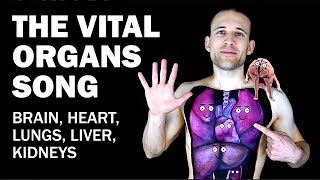 THE ORGANS SONG Brain Heart Lungs Liver Kidneys [upl. by Boothman]