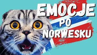 Język norweski nauka  EMOCJE po norwesku  1000 słów część 4 [upl. by Vaden971]