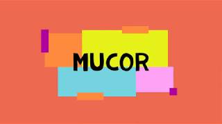 Mucor [upl. by Shewchuk]