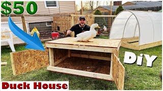 50 DIY Duck House  Coop Easy Build [upl. by Marks]