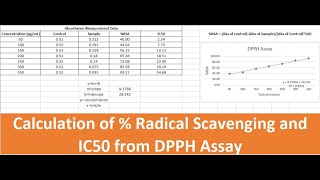 Radical Scavenging Activity Measurement and IC50 Calculation DPPH Assay in Excel [upl. by Ranilopa]