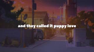 paul anka  puppy love  lyrics [upl. by Berl]