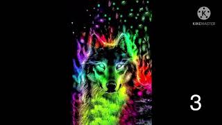 14 Wolf wallpapers [upl. by Dlonyar363]