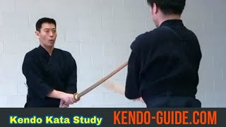 Kendo Kata 3 Tsuki Kaeshi Nayashi Tsuki [upl. by Freberg]