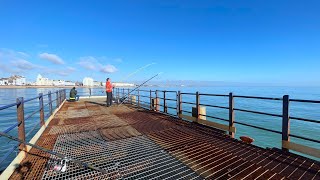 PIER Fishing from Eastbourne England [upl. by Emarej]