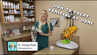 The Best Torn Dog ACL Treatment  Surgery or Home Management  Dog Care Vet Advice [upl. by Arraet69]