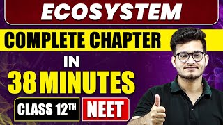 Ecosystem in 38 Minutes  Full Chapter Revision  Class 12th NEET [upl. by Ranita]