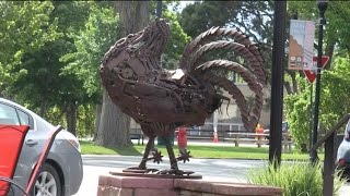 MIKE THE HEADLESS CHICKEN FESTIVAL  WildTravelsTVcom [upl. by Eadnus]