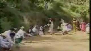 Ayoob Tarish  Yemeni Song [upl. by Ylrad]