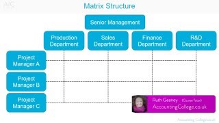 Matrix Organisational Structure  AZ of business terminology [upl. by Lepine766]