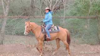 First time riding in a Bosal Western Bitless Bridle [upl. by Oibaf938]