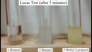 Lucas Test for Alcohols [upl. by Ieluuk]