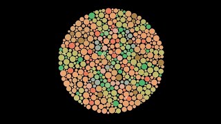 Colourblind Test  Can you see every colour [upl. by Eissert]