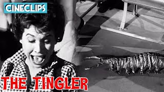 The Tingler Loose In The Movie Theater  The Tingler  CineStream [upl. by Idarb]