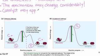 135 Catalysis [upl. by Celik]