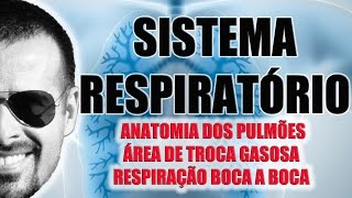 Sistema Respiratório  Anatomia dos Pulmões e RCP  Fisiologia  VideoAula 027 [upl. by Weinreb]