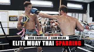 ELITE Muay Thai Sparring  Siam Boxing [upl. by Viscardi]