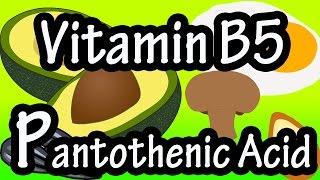 What Is Pantothenic Acid Vitamin B5  Foods High Functions Benefits Of Pantothenic Acid Vitamin B5 [upl. by Aicinet432]