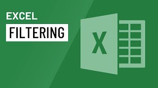 Excel Filtering Data [upl. by Howland362]