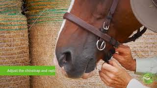 Fitting the LightRider Bitless Bridle  traditional styles [upl. by Ellissa]