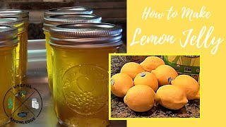 Lemon Jelly  Useful Knowledge [upl. by Huskey]