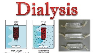 Protein purification  protein dialysis [upl. by Nus]