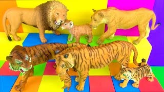 Big Cat Week 2018  Happy Cute ZOO Animals Wildlife LION TIGER LEOPARD CHEETAH BIG CATS Toy Review [upl. by Killigrew747]