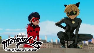 Miraculous Ladybug  ANIMAN  Ladybug and Cat Noir [upl. by Dannie]