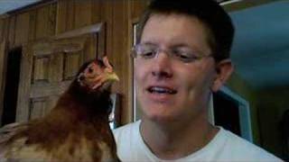 Chicken Head Tracking  Smarter Every Day [upl. by Nelaf]