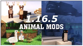 Best 1165 Animal Mods Forge  Minecraft Cinematic Showcase [upl. by Lertnom]