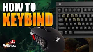 KEYBIND LIKE A PRO  WoW PvE Keybinding Guide [upl. by Enialahs]