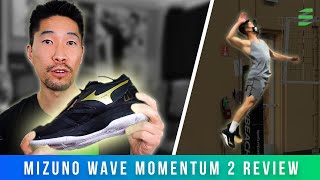 Mizuno Wave Momentum 2 Volleyball Shoe Review [upl. by Cirad]