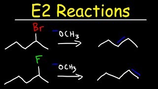 E2 Reaction Mechanism  Hoffman Elimination vs Zaitsevs Rule [upl. by Mirak]