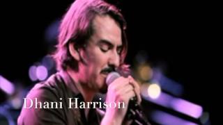 Dhani Harrison  SAVOY TRUFFLE COVER Beatles HD [upl. by Thacker]