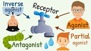 Cholinergic agonists  Mechanism actions side effects amp uses [upl. by Aekim]