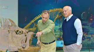 How Did Noahs Flood Create the Fossil Record  Dr Marcus Ross [upl. by Nevada]