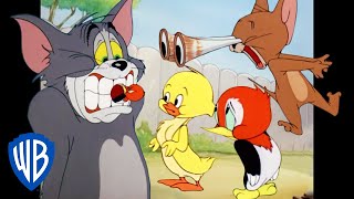 Tom amp Jerry  Animal Kingdom  Classic Cartoon Compilation  WB Kids [upl. by Dyann]